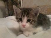 Фотография Юсупов Руслан