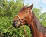 Фотография Poptsova Anna