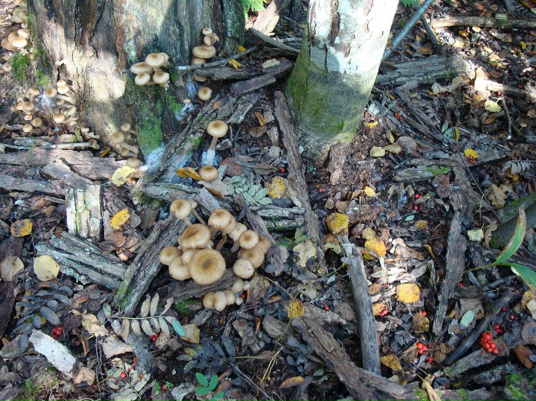 Эмма Кубло фотография #36