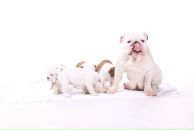 Фотография Швецовой Анастасии