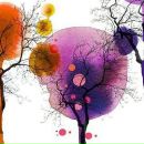 Фотография Дмитриевой Екатерины