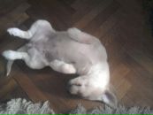 Максим Куварзін фотография #43 (источник - https://vk.com/id6530006)