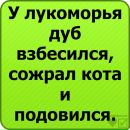 Сергій Мельник фотография #12 (источник - https://vk.com/id157517394)
