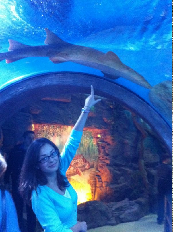 Антон Пейтер фотография #37