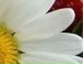 Яна Excale фотография #37 (источник - https://vk.com/id727315)