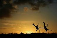 Фотография Тарасенко Татьяны