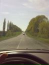 Тарас Дідич фотография #48 (источник - https://vk.com/id91008344)