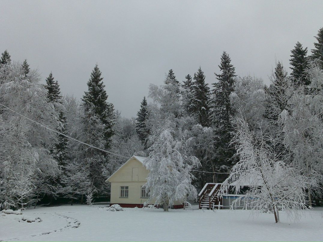 Дмитрий Витько фотография #45