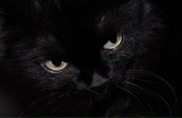 Фотография Мочалкиной Анны