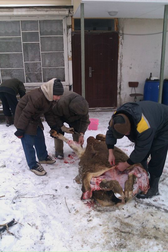 Дмитрий Журавлёв фотография #42