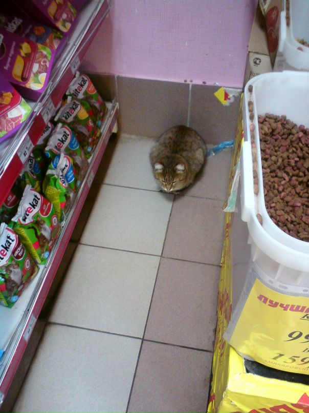 Сергей Табунов фотография #28