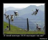 Іван Мацько фотография #21 (источник - https://vk.com/id68028329)