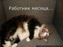 Діма Горщар фотография #4 (источник - https://vk.com/id175929114)