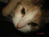 Фотография Aaaaa Андрюхи