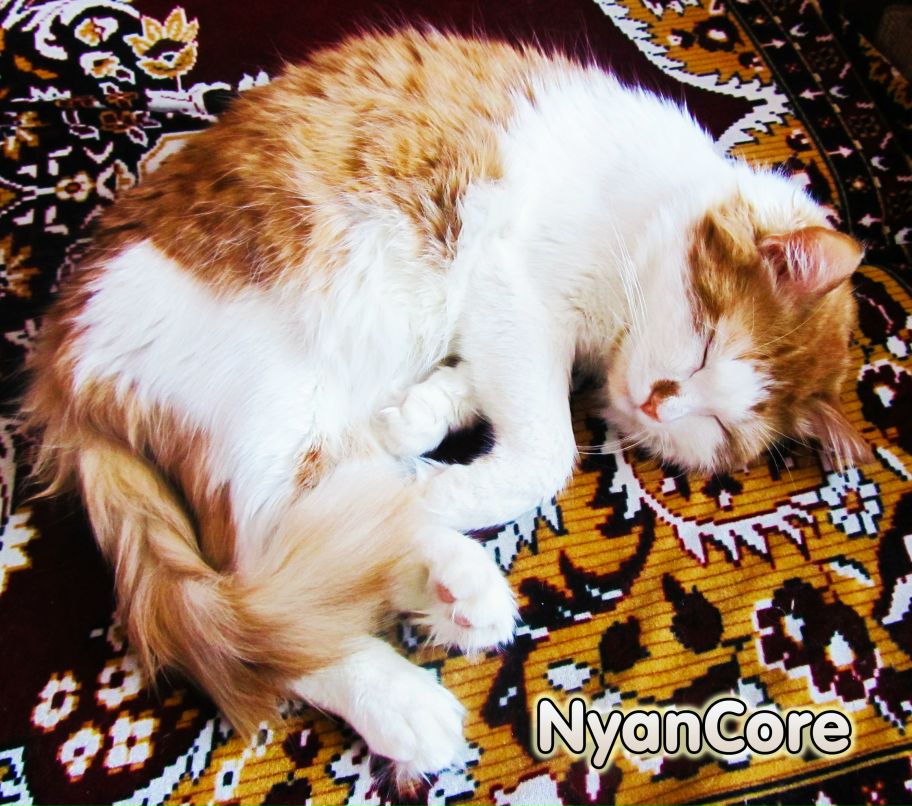 Александр Добряков фотография #48