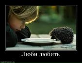 Фотография Захарова Кирилла