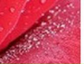 Оксана Андрєєва фотография #16 (источник - https://vk.com/id80928549)