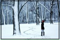 Фотография Хачатуровой Анастасии