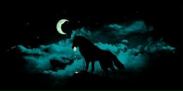 Ботька Біленький фотография #40 (источник - https://vk.com/id80161724)