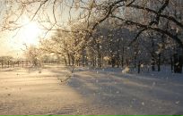 Михаил Яковлев фотография #33 (источник - https://vk.com/id2403530)