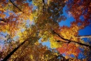 Юрій Чередник фотография #14 (источник - https://vk.com/id125630365)