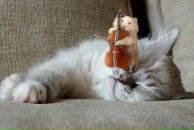 Фотография Ситкарёвой Надежды