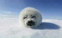 Сергей Розанов фотография #2 (источник - https://vk.com/id1659207)