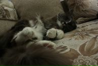 Фотография Zhuklin Dima