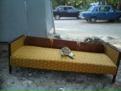 Фотография Метелицы Елены