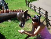 Фотография Ткачёвой Юлии