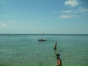 Себастіан Січ фотография #20 (источник - https://vk.com/id117502375)