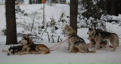 Дима Пилипчук фотография #29 (источник - https://vk.com/id20813129)