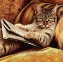 Вован Хоріщенко фотография #13 (источник - https://vk.com/id142512735)