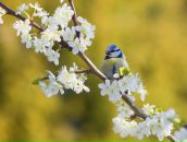 Валерій Зеліновський фотография #22 (источник - https://vk.com/id116371383)