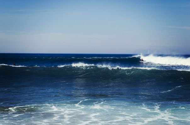 Bee Bee фото №23