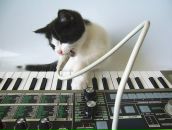 Фотография Сакуты Николая