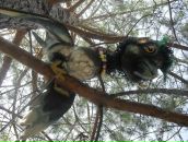 Фотография Kat Rast