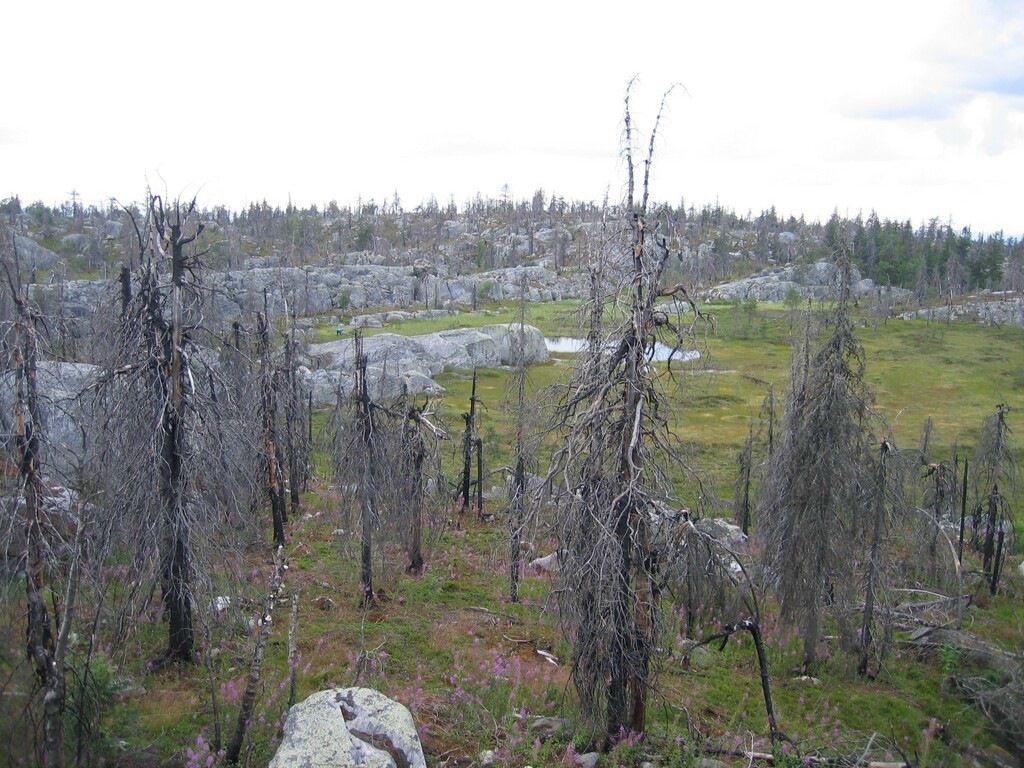 Иван Паньков фотография #23