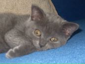 Фотография Вьюгиной Светы