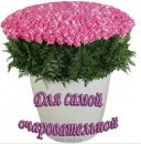 Юля-Оля-Вікторія Потерейко фотография #14 (источник - https://vk.com/id165797212)