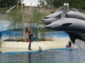 Надя Кіданецька фотография #10 (источник - https://vk.com/id103553217)