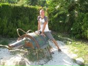 Фотография Софронова Алексея