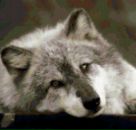 Фотография Владимировича Александра