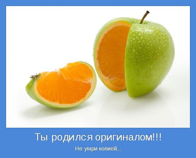 Fo Дя фотография #49