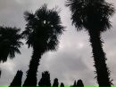 ♥киска♥ Love♥ фотография #37 (источник - https://vk.com/id156331615)