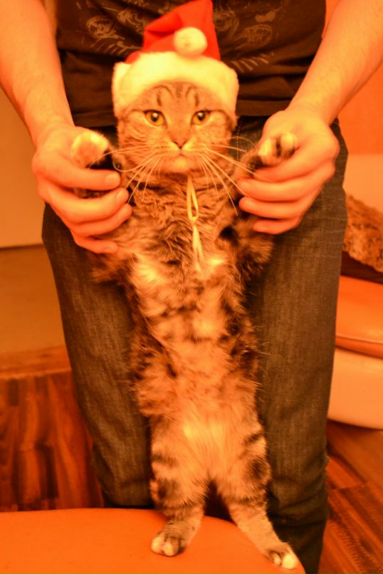 Sp Art фотография #15