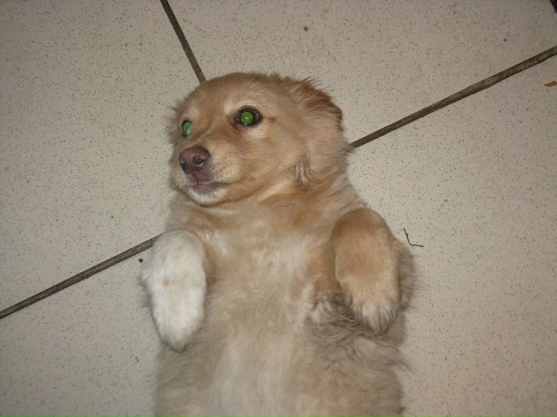 Дмитрий Бурлаков фотография #27