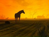 Фотография Чекаловой Анастасии