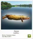Николай Полозун фотография #15 (источник - https://vk.com/id135139321)