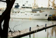 Фотография К Каттарины